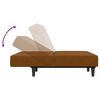vidaXL Dvivietė sofa-lova, rudos spalvos, aksomas