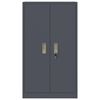 vidaXL Oppbevaringsskap su saugykla Antracitas 60 x 40 x 105 cm