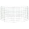 vidaXL Aptvaras gyvūnams, 10 segmentų, 54x80cm, galvanizuota geležis