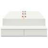 vidaXL Lova su daiktų laikymo vieta Balta 100 cm Apdirbta mediena