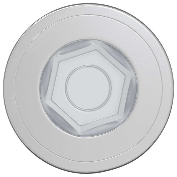 vidaXL Confirmat varžtai 12 pcs Sidabro &Oslash;7 x 58 mm Metalas