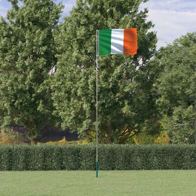 vidaXL Airijos vėliava su stiebu, aliuminis, 5,55m