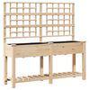 vidaXL Sodo vazonas Smėlio 161 x 46 x 152,5 cm Kietasis pu&scaron;inis medis