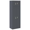 vidaXL Oppbevaringsskap 2 vnt. Antracito 60 x 40 x 180 cm Plienas