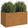 vidaXL Lovelis, 62x30x29cm, Corten plienas