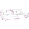 vidaXL Dvivietė sofa-lova su dvejomis pagalvėmis, pilka, aksomas
