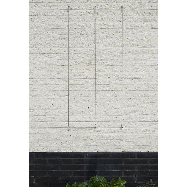 Nature Vielos treliažo rinkinys vijokliniams augalams, 2 vnt.