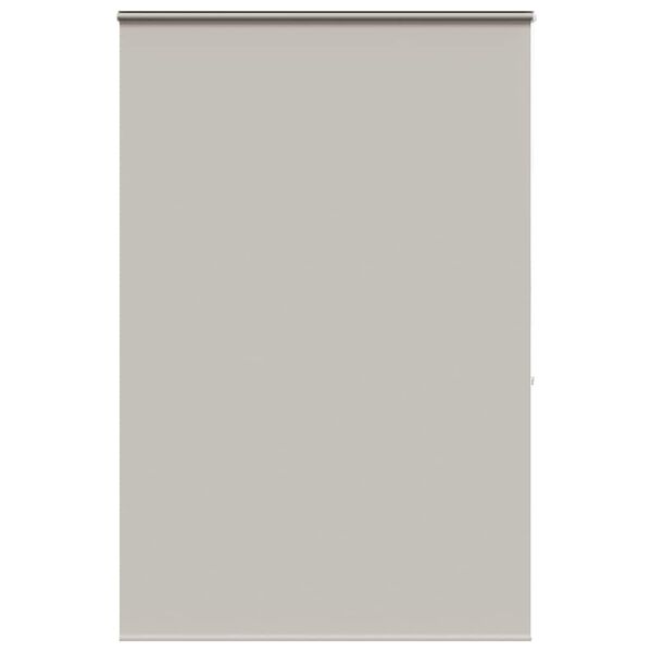 vidaXL Dušo roletas su kasete, 150x240 cm, audinio plotis 146 cm