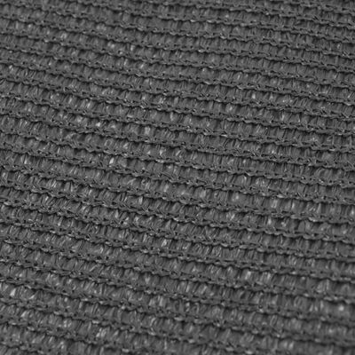vidaXL Palapinės kilimėlis, 250x500cm, antracito spalvos