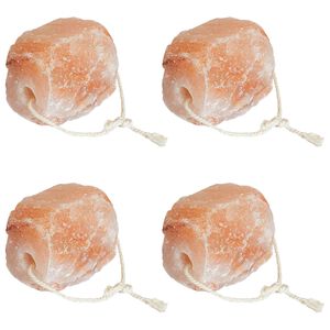 vidaXL Druskos laižymo akmenys Rožinė Druskos akmuo