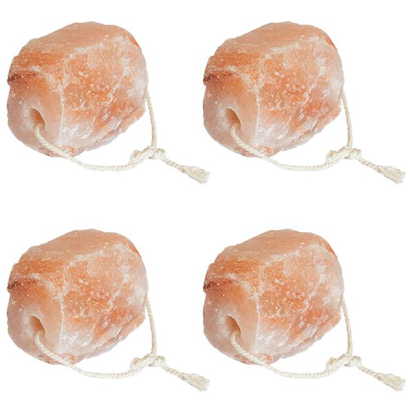 vidaXL Druskos laižymo akmenys Rožinė Druskos akmuo