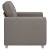 vidaXL Sofa Taupe 100 x 77 x 82 cm audinys