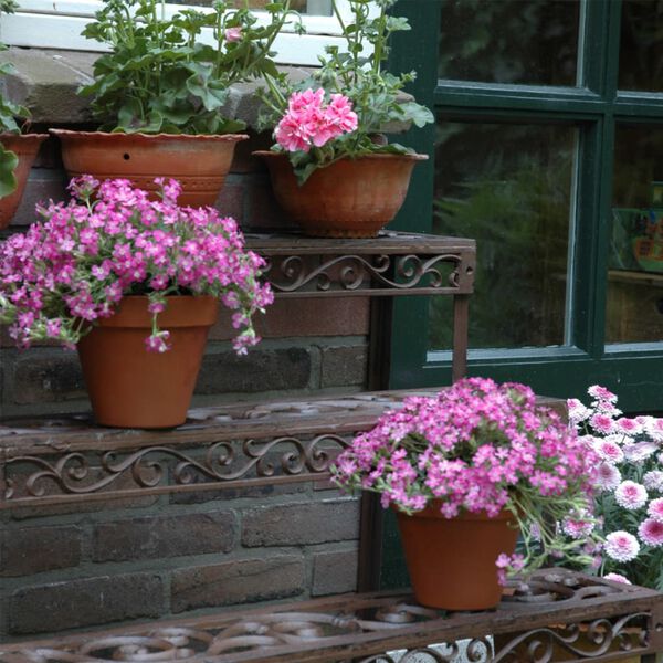 Esschert Design Etagere Lentyna, stačiakampė, BPH33