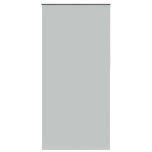 vidaXL roletas &scaron;viesiai pilka 110x230 cm audinio plotis 105,7cm