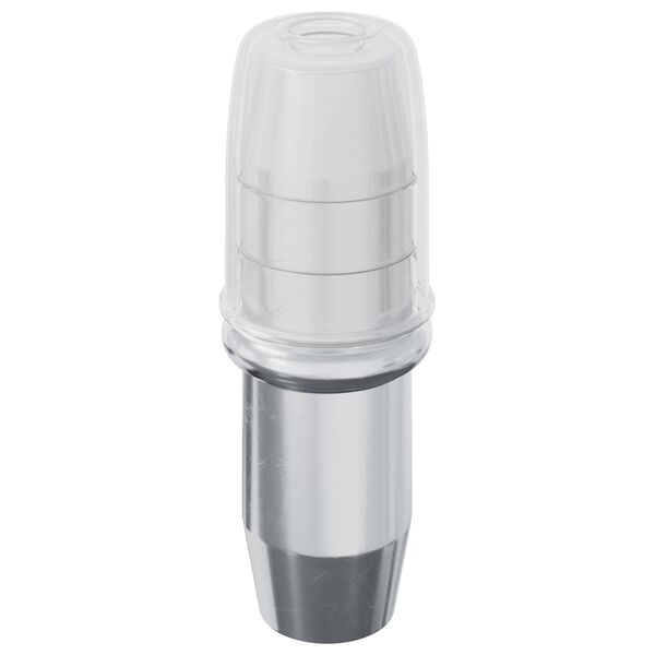 vidaXL Policis 2 pcs Sidabro 7 x 16 mm Geležis