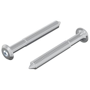vidaXL Varžtas 2 vnt. Sidabro M6 x 50 mm Plienas