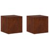 vidaXL Augalų stovas 2 pcs Rūdijanti 40 x 40 x 40 cm