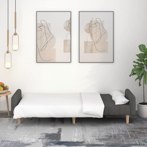 vidaXL Dvivietė sofa-lova, tamsiai pilkos spalvos, audinys