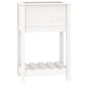 vidaXL Lovelis su lentyna, baltas, 54x34,5x81cm, pu&scaron;ies masyvas