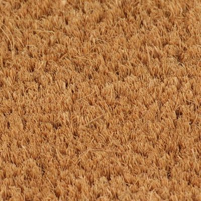 vidaXL Durų kilimėlis, natūralus, 65x100cm, kokoso pluoštas