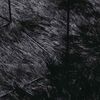 vidaXL Shaggy tipo kilimas, NAVARRA, 240x340 cm, juodos, poliesteris