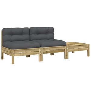 vidaXL Dvivietė sodo sofa su pagalvėlėmis ir pakoja