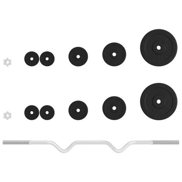 vidaXL Štangos su svoriais rinkinys, 30kg, ketus ir chromuotas plienas