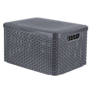 Curver Daiktadėžė su dangčiu Style, metalinė sidabrinė, 30l, L