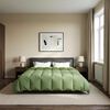 vidaXL Pilna metų antklodė Tik&scaron;tas Žalia 240 x 260 cm Mikropluo&scaron;tas