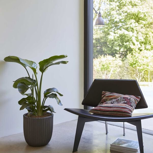 Capi Vazonas Urban Tube, juodas, 35x34cm, apskritas, KBLT932