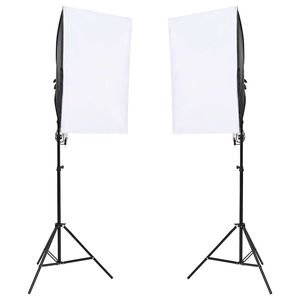 vidaXL Profesionalūs fotostudijos &scaron;viestuvai, 2vnt., 40x60cm