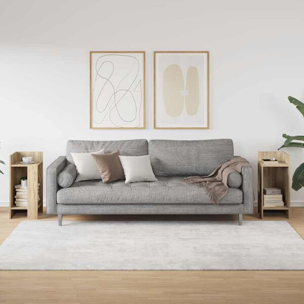 vidaXL Šoniniai staliukai su lentyna, 2vnt., sonoma, 25,5x27x60cm