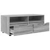 vidaXL Televizoriaus spintelė Pilkas Sonoma 100 x 48 x 43 cm