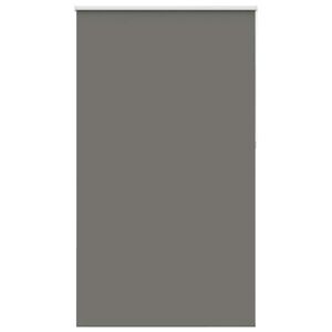 vidaXL roletas smėlio Pilka 120x230 cm audinio plotis 116,6 cm