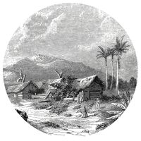 WallArt Tapetai Landscape of Guadeloupe, 142,5cm, apskriti