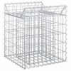 vidaXL Gabioninė pakelta lova 50 x 50 x 60 cm Galvanizuotas plienas