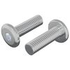vidaXL Varžtas 2 vnt. Sidabro 8 x 25 mm Plienas