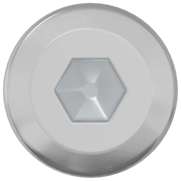 vidaXL Užrakinimo varžtas Paprastas 2 pcs Sidabro M6 x 12 mm Plienas