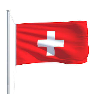 vidaXL Šveicarijos vėliava su stiebu, aliuminis, 6,2m