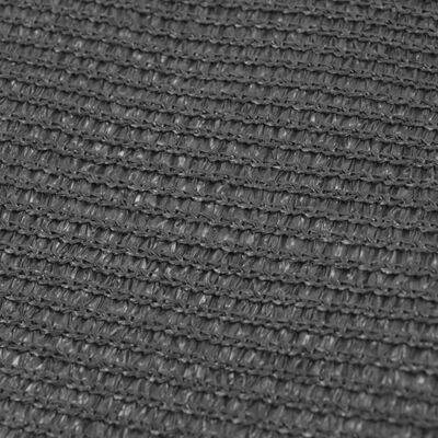 vidaXL Palapinės kilimėlis, 300x600 cm, antracito spalvos