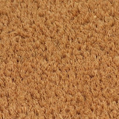 vidaXL Durų kilimėlis, natūralus, 80x100cm, kokoso pluoštas