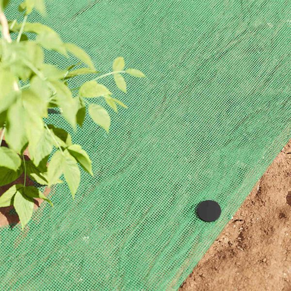 vidaXL Plastikiniai kai&scaron;čiai 500 pcs Juoda &Oslash;3 x 11 cm Plastmasė