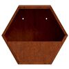 vidaXL Sieniniai loveliai, 2vnt., rūdžių, 30x10x25cm, Corten plienas