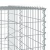 vidaXL Gabiono krep&scaron;ys su dangčiu, 150x100x200cm, galvanizuota geležis