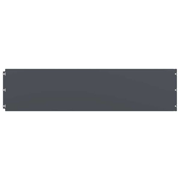 vidaXL vejos apvadai 10 vnt Antracitas &scaron;altai valcuotas plienas