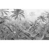 Komar Fototapetai Amazonia, juodai balti, 400x250cm