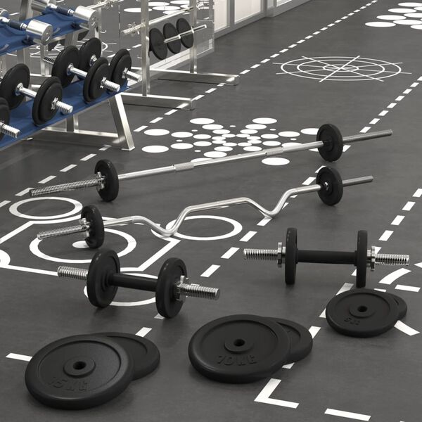 vidaXL Štanga ir svarmenys su svoriais, 120kg, ketus