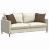 vidaXL Sofa Pagalvės 2 pcs Ruda 45 x 45 cm audinys
