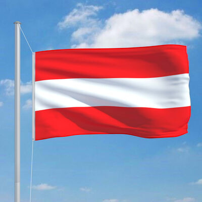 vidaXL Austrijos vėliava su stiebu, aliuminis, 6,2m