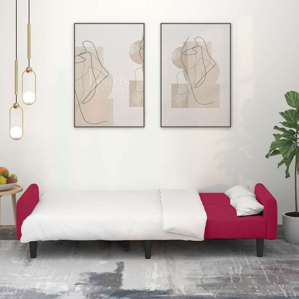 vidaXL Dvivietė sofa-lova, raudonojo vyno spalvos, aksomas